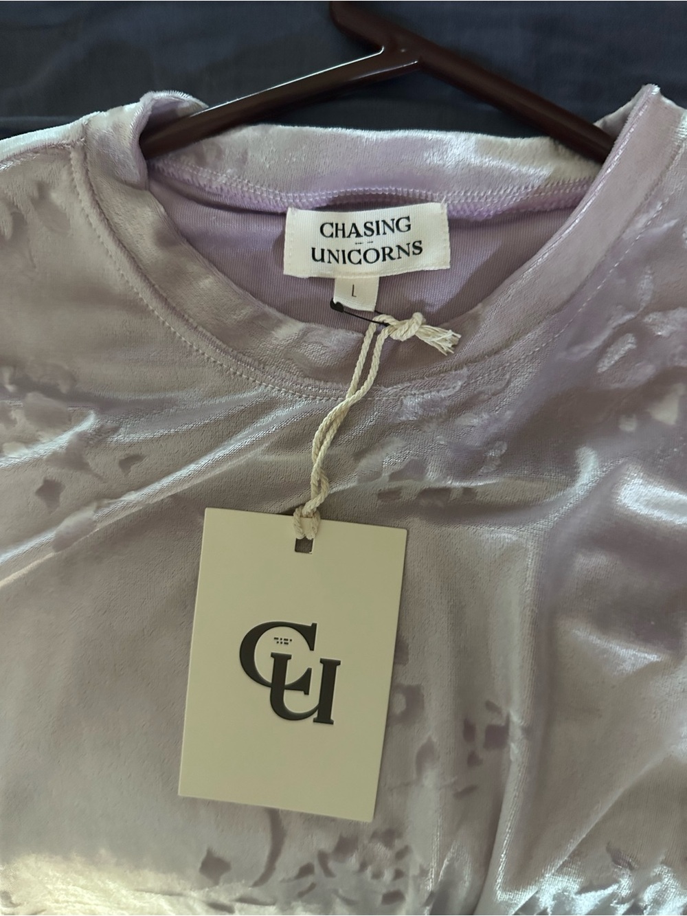 Chasing Unicorns Lavender Velvet Dress